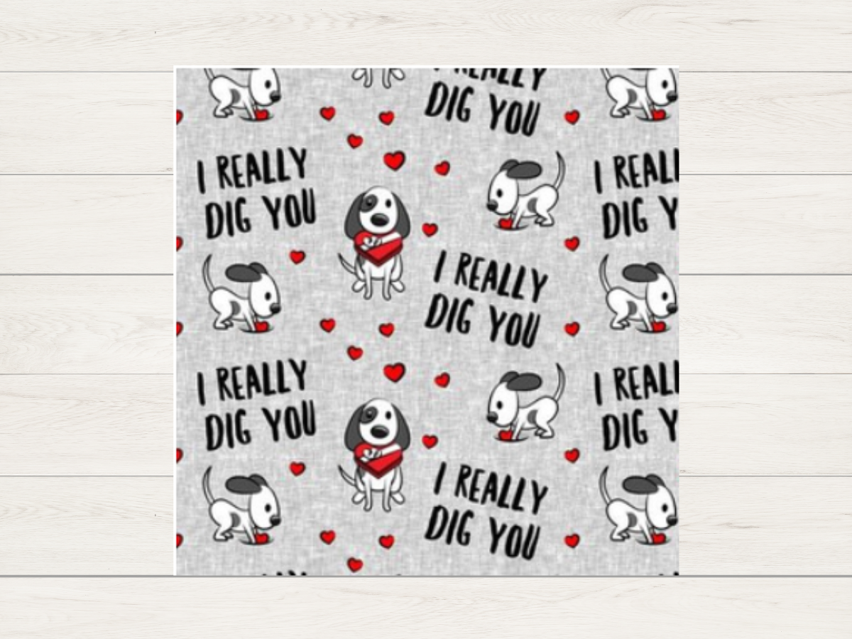 Bandana - I Really Dig You