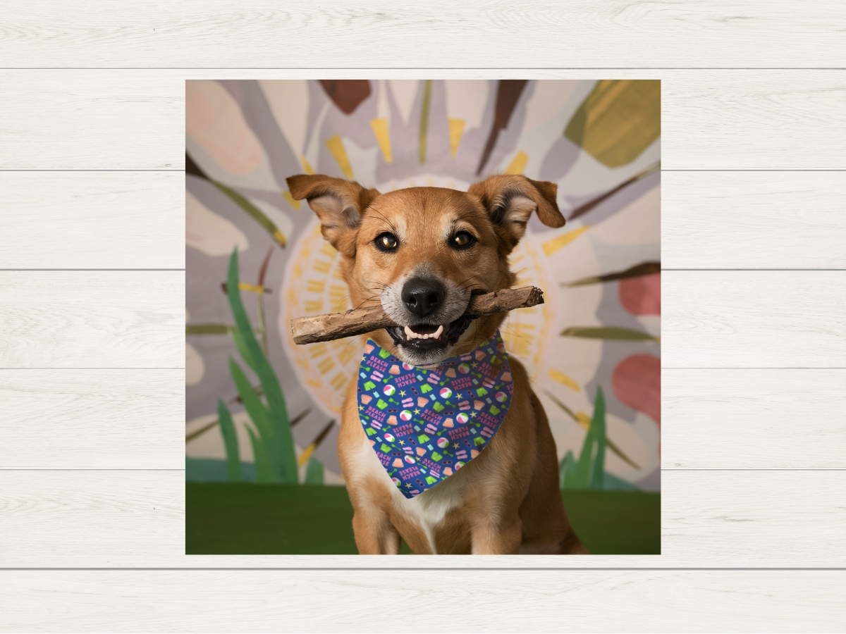 Bandana - Beach Please