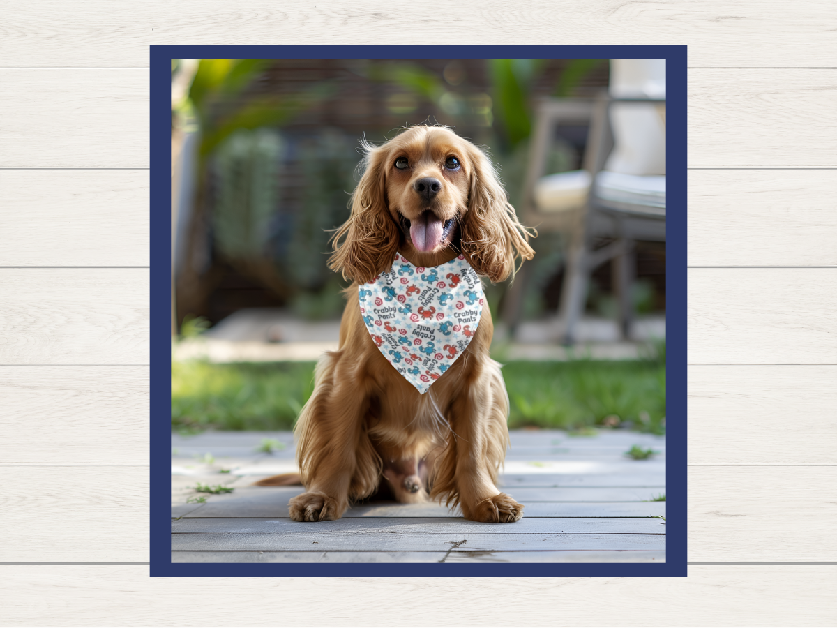 Bandana - Crabby Pants