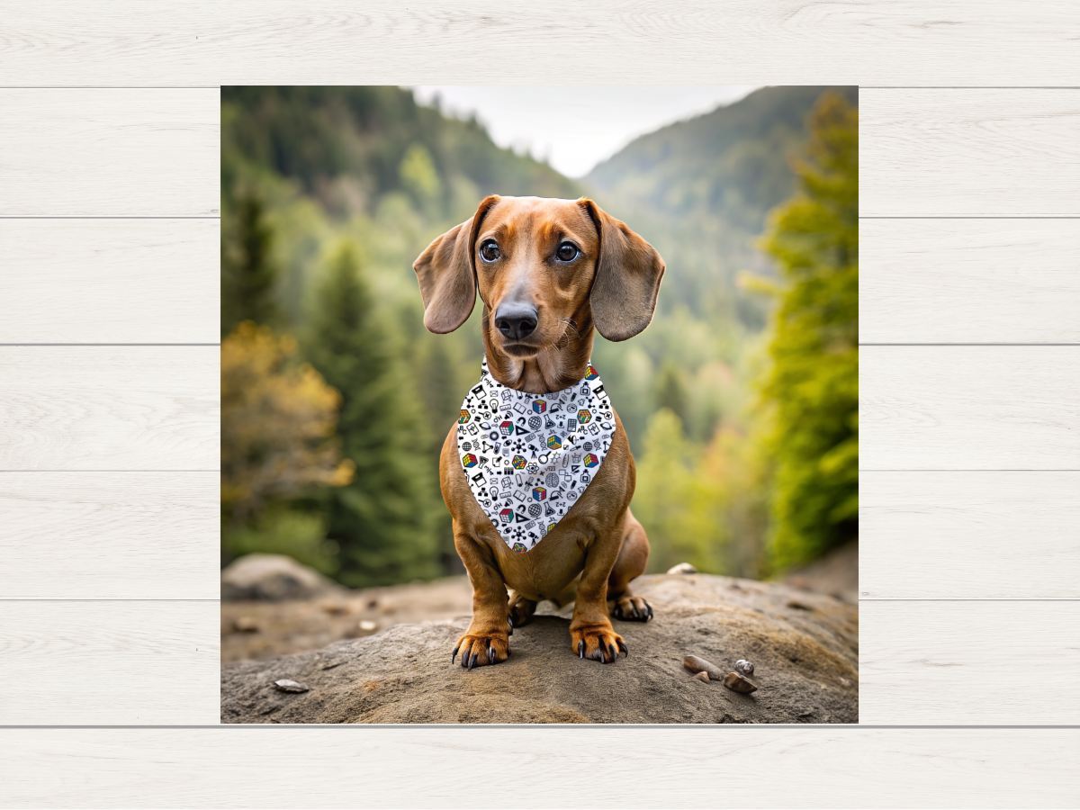Bandana - Be Geeky