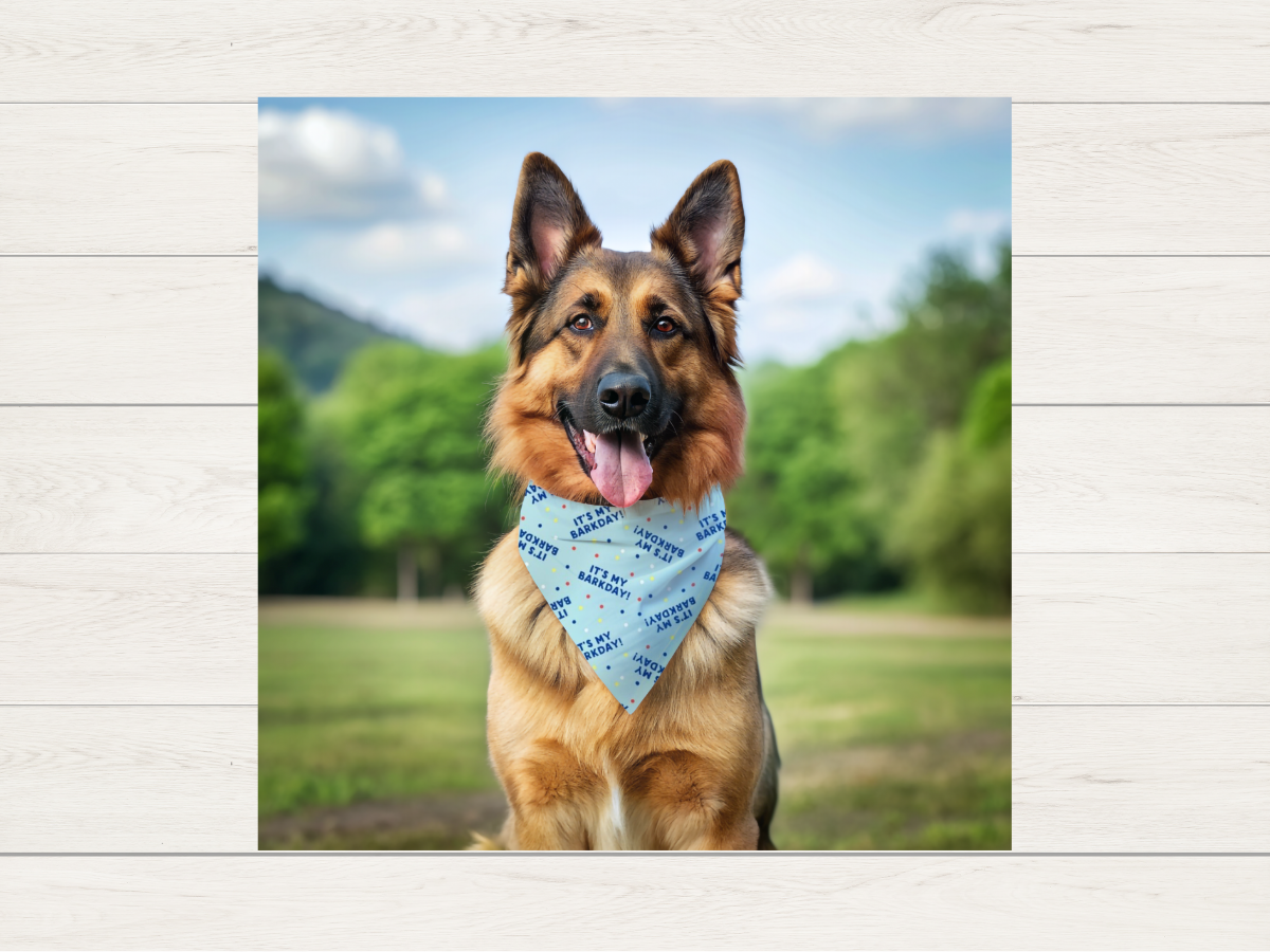 Bandana - It's my Barkday!