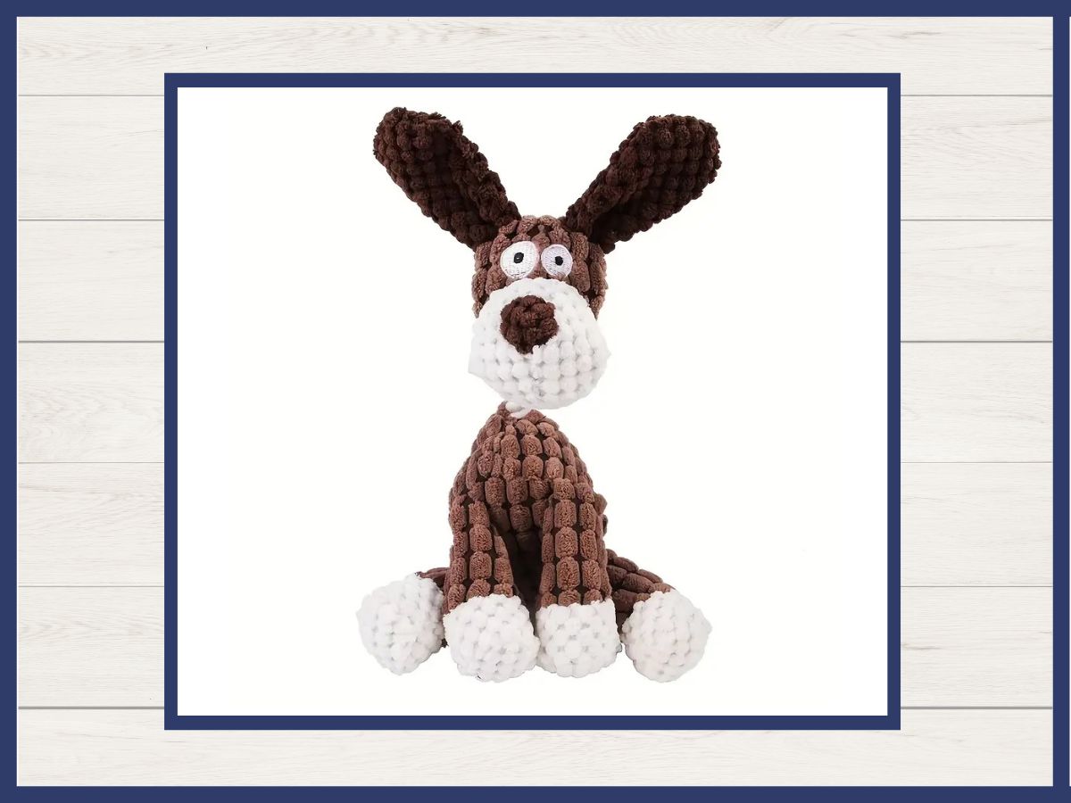 Toy - Rope Neck Squeaky Plush