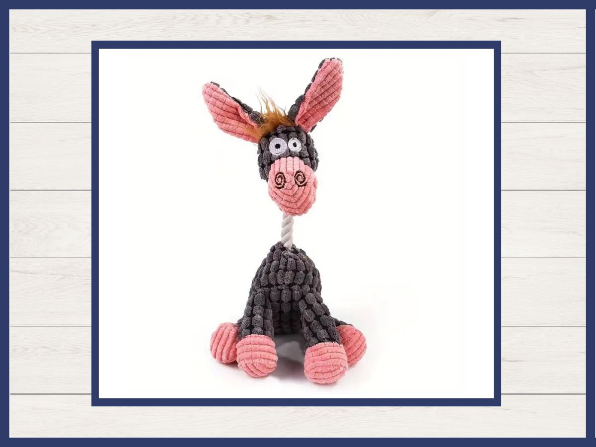 Toy - Rope Neck Squeaky Plush
