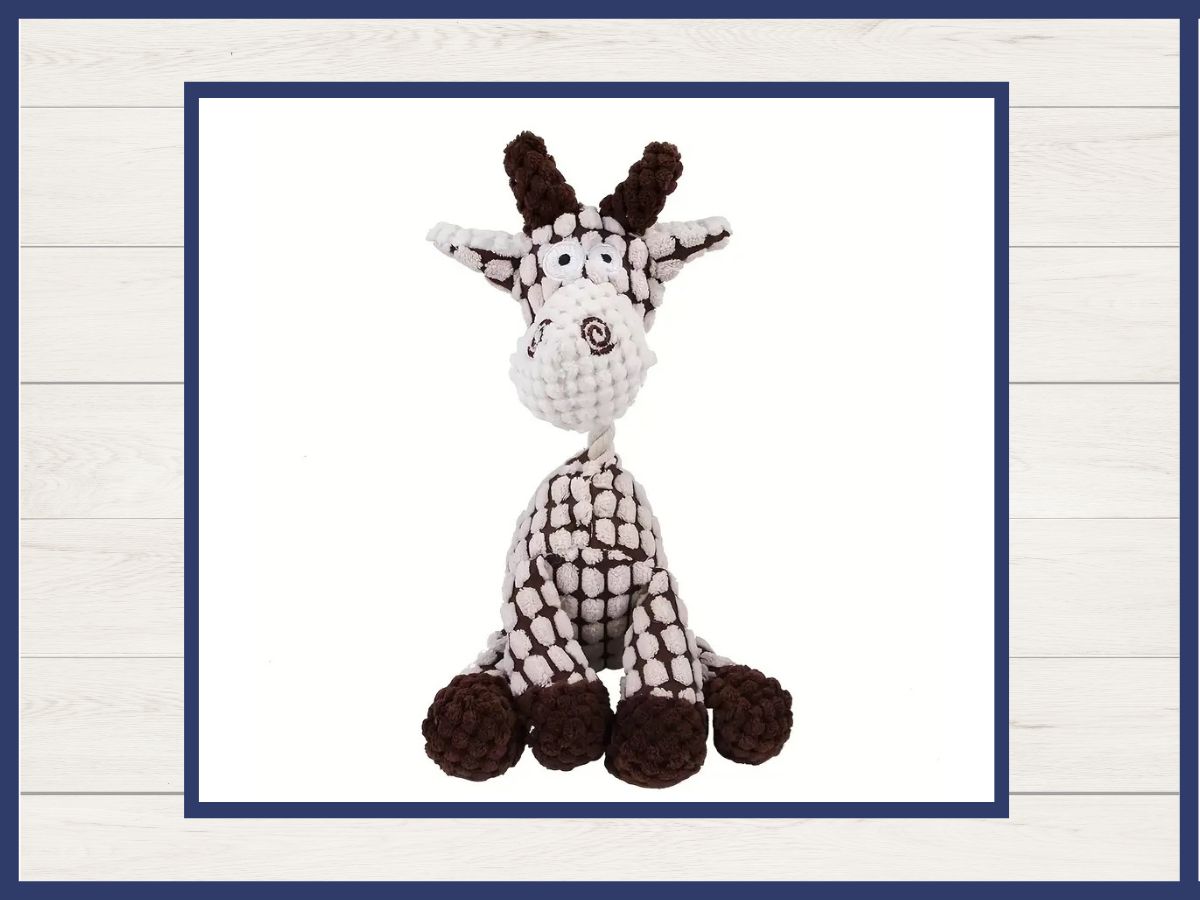 Toy - Rope Neck Squeaky Plush