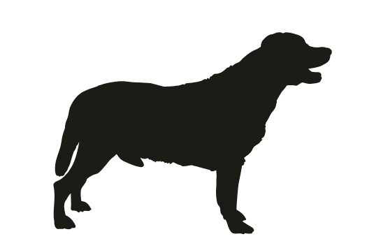 Tote - Custom Name and Breed