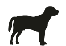 Tote - Custom Name and Breed
