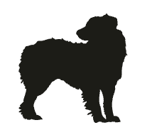 Tote - Custom Name and Breed