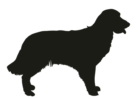 Tote - Custom Name and Breed
