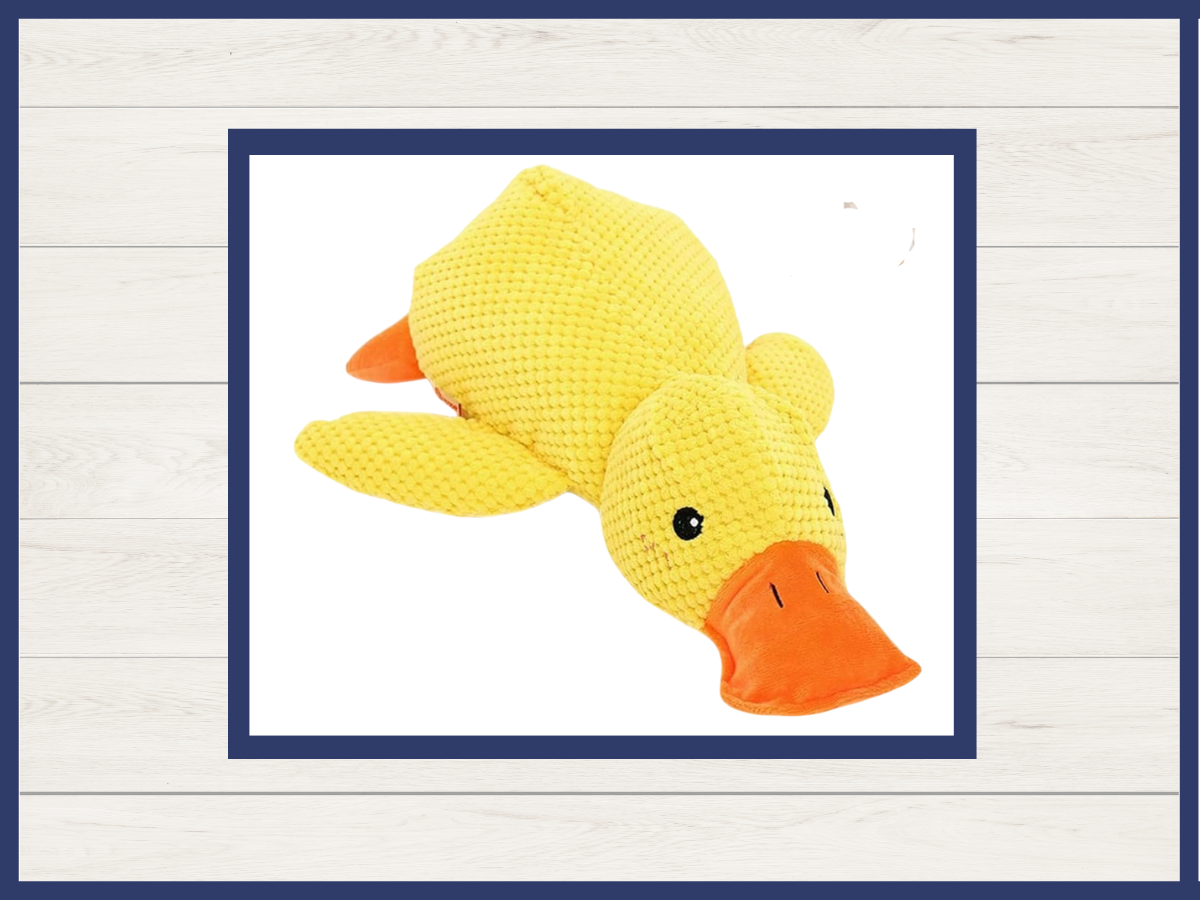 Toy - Funny Dog Duck
