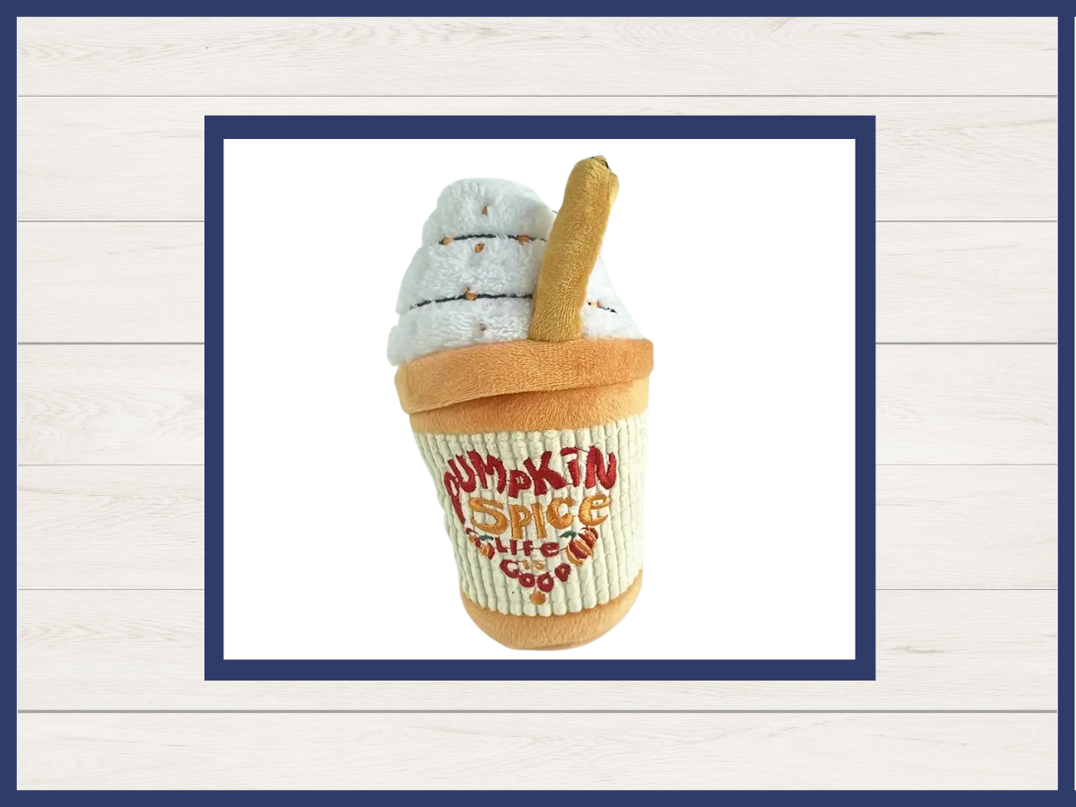 Toy - Pumpkin Spice Squeaky Plush