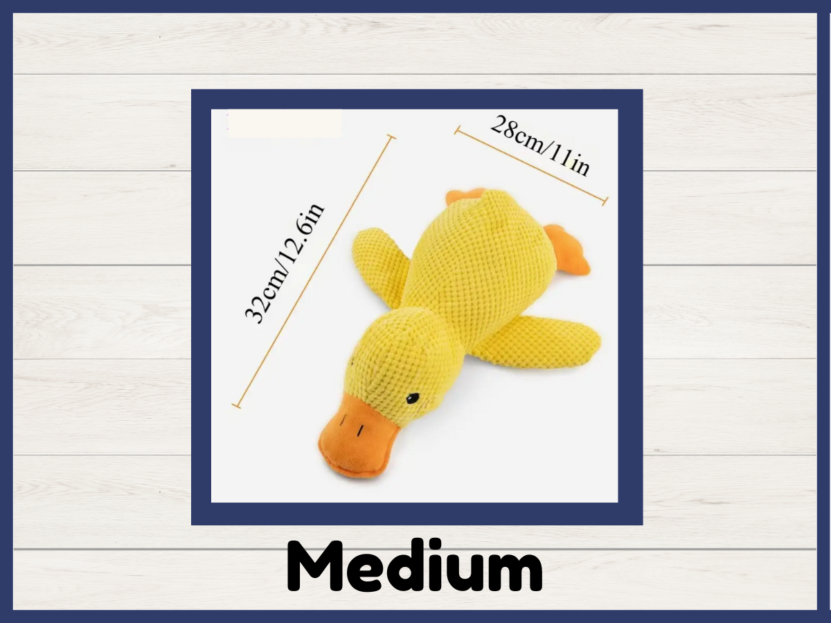 Toy - Funny Dog Duck