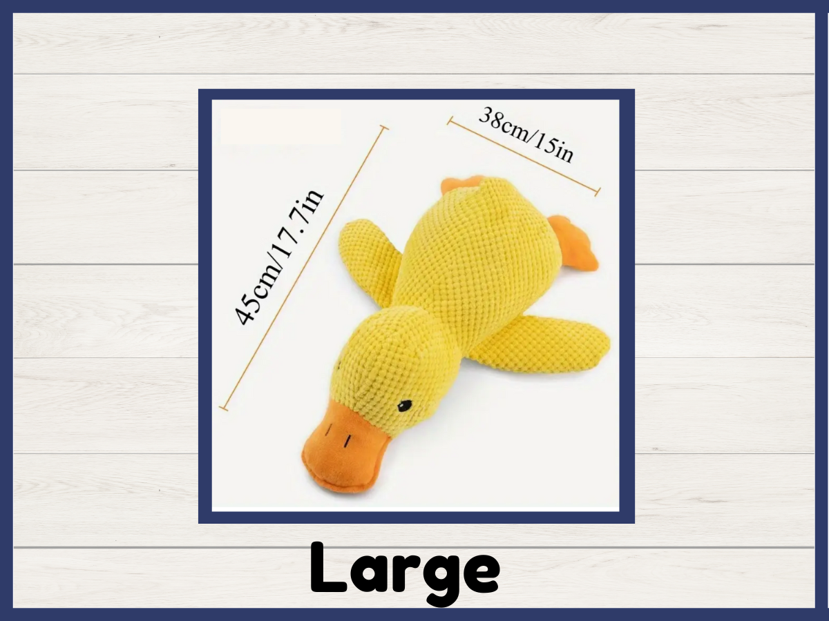 Toy - Funny Dog Duck