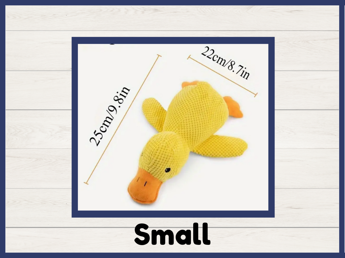 Toy - Funny Dog Duck