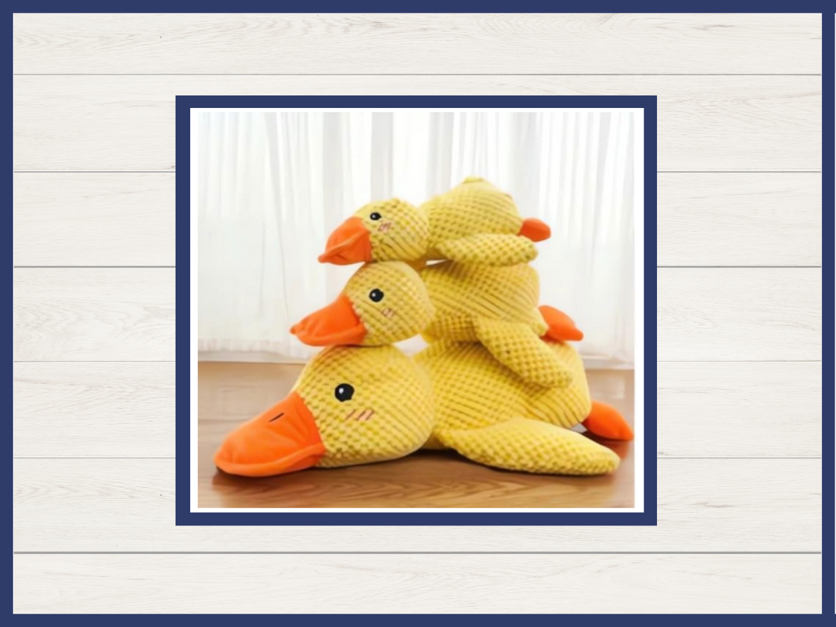 Toy - Funny Dog Duck