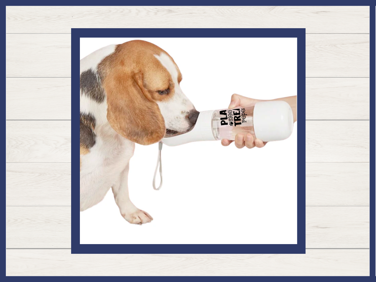 Water Bottle with Treat Holder