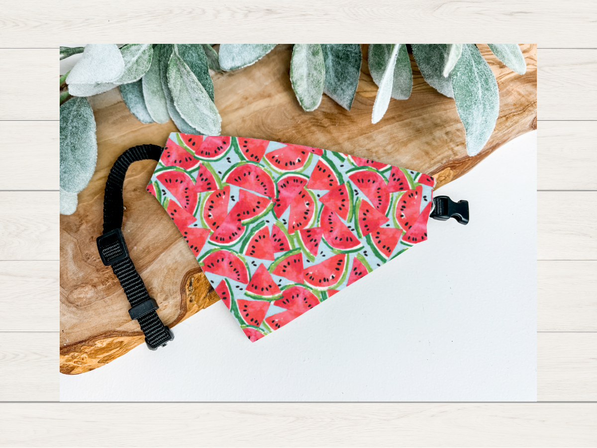 Bandana - Summer Watermelon
