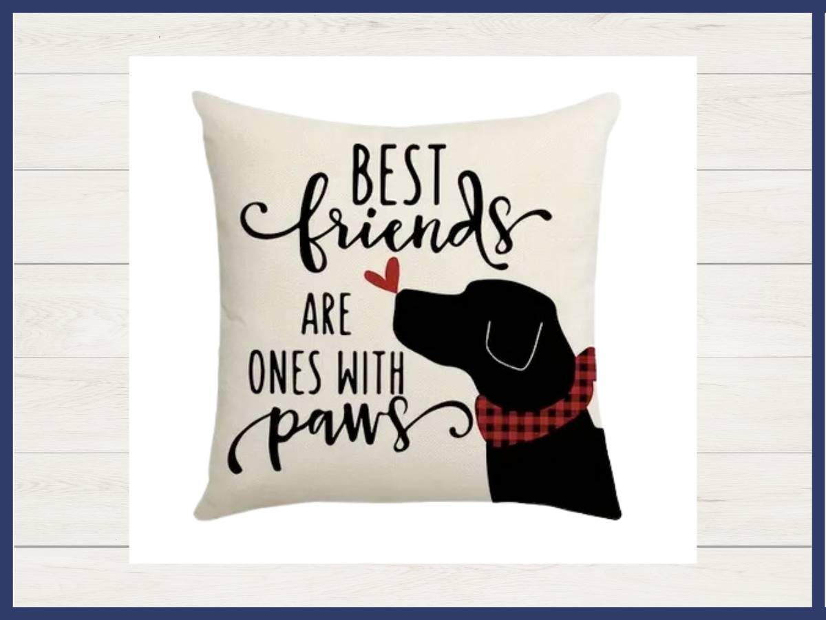 Pillow - Best Friends Have Paws