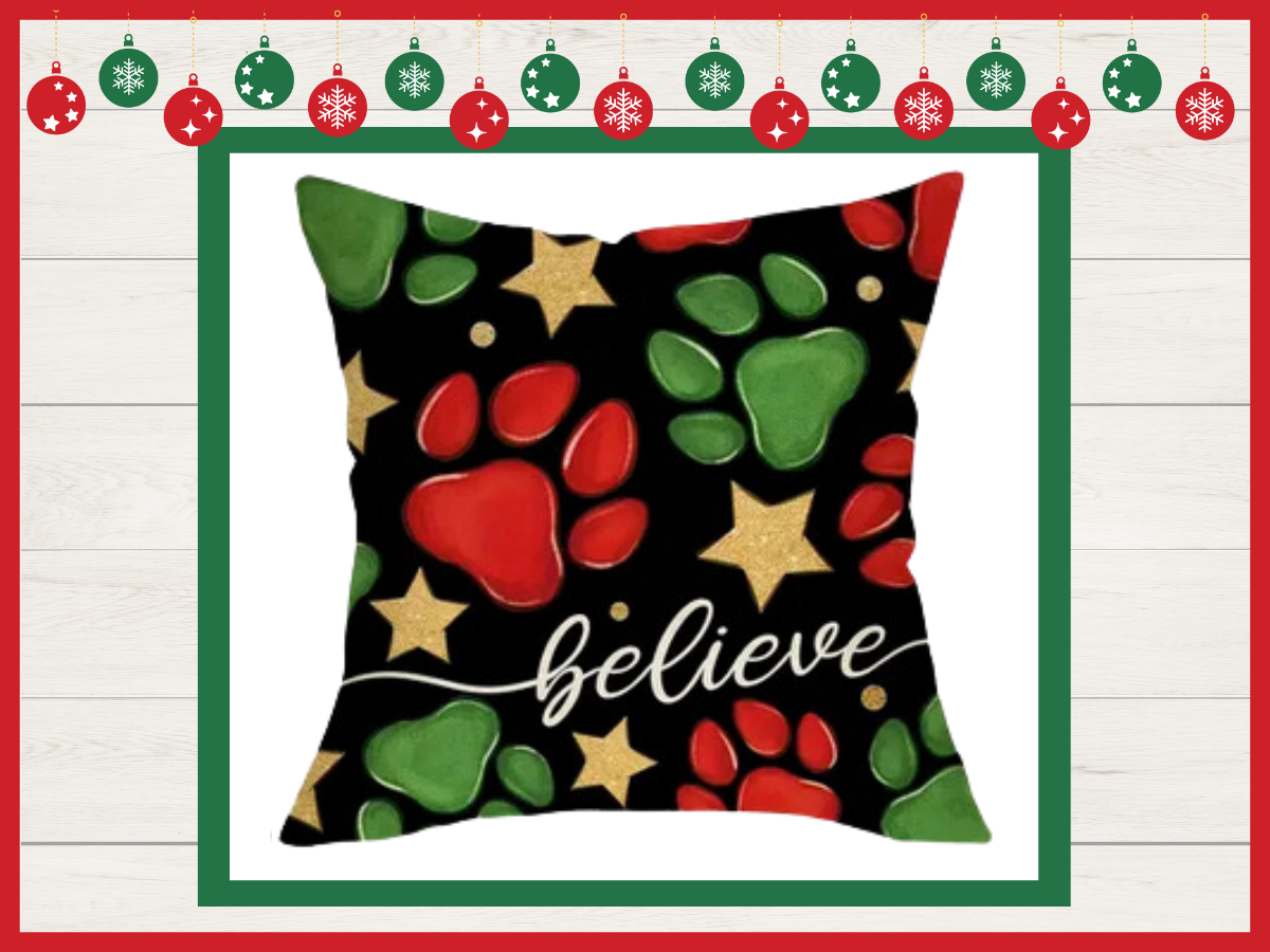 Pillow Covers - Holiday - Believe