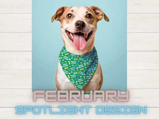 Spotlight Bandana February